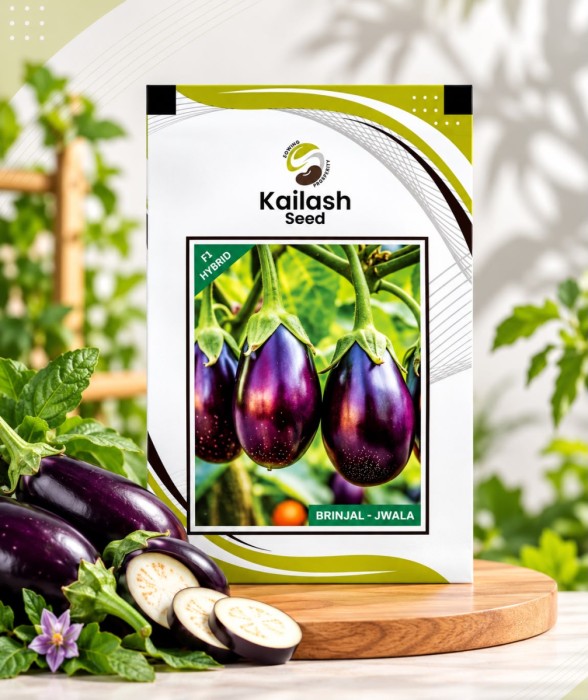 Stripes Brinjal